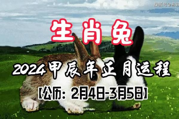 1987年属兔今天打麻将的运气 1987年十月属兔今日麻将运势解析1987年10月打麻将运程