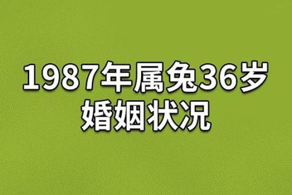 1987年属兔2024年每月运势完整版_1987年属兔2024年每月运势完整版周易免费网
