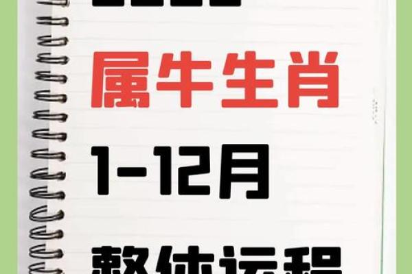 2009年属牛的孩子运势 2009年属牛的孩子运势2024