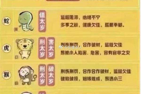 属兔犯太岁吗2025 2025年十一月属兔犯太岁解析2025年11月运势指南