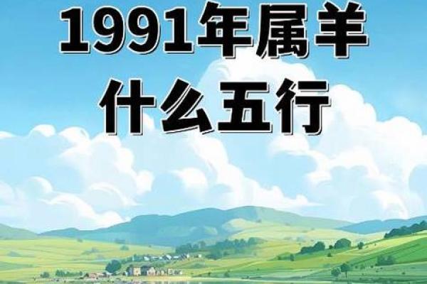 1991属羊33岁有两喜_1991羊命中几个儿子