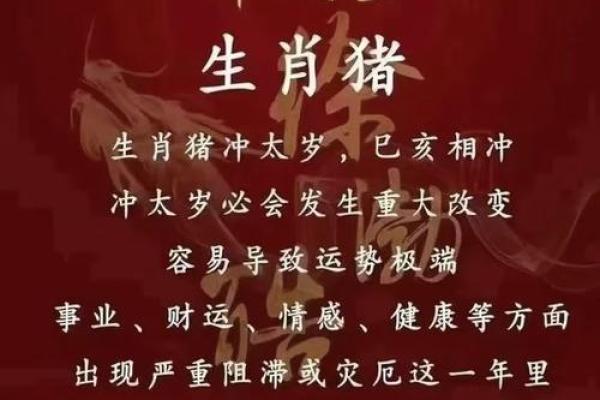 羊年2025年运势及运程详解_马年2025年运势及运程详解