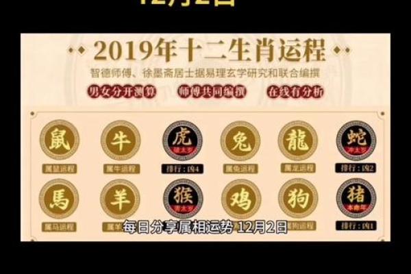 1999年十二月属兔年龄解析1999年12月生肖兔岁数对照