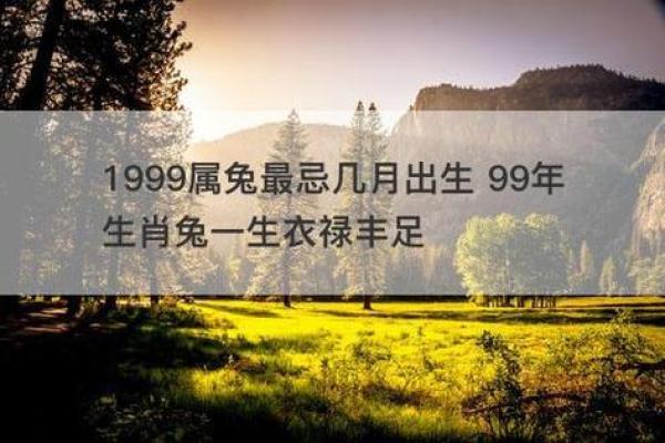 1999年十二月属兔年龄解析1999年12月生肖兔岁数对照