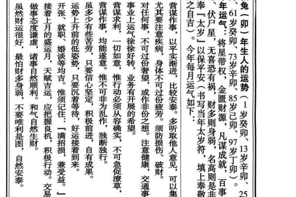 属兔人2025年11月2030年十二月运势全解析