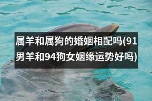 属羊男和属狗女相配吗_属羊男和属狗女相配吗婚姻怎样