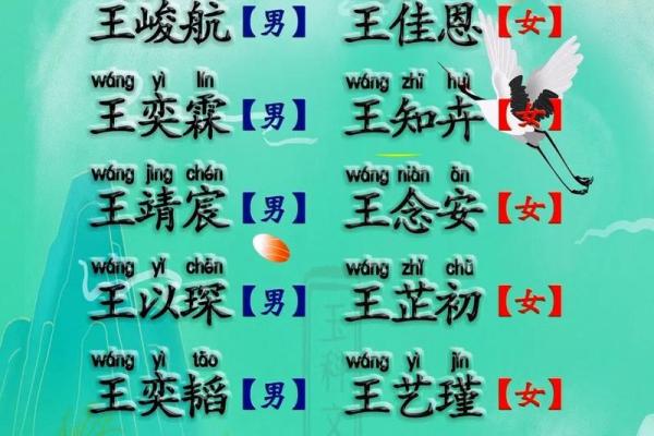 1951年属兔今年多大_2023年十月属兔年龄解析1951年出生10月今年多大
