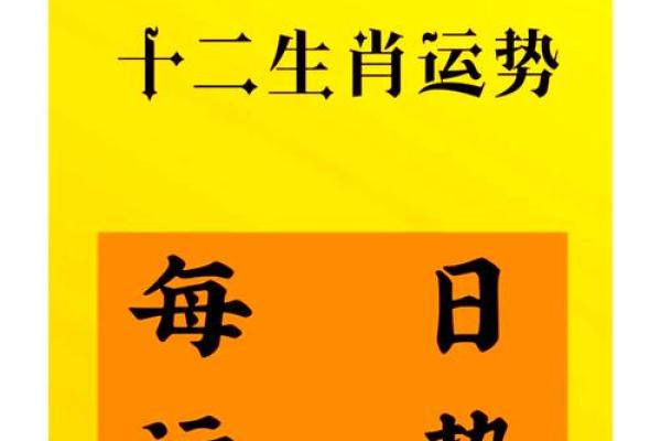 1991属羊最旺楼层解析黄金楼层选择与运势提升指南
