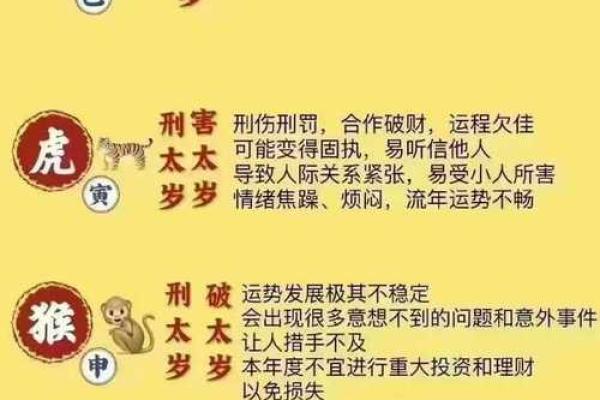 2025年十一月属兔重孝月份解析2025年11月孝期注意事项