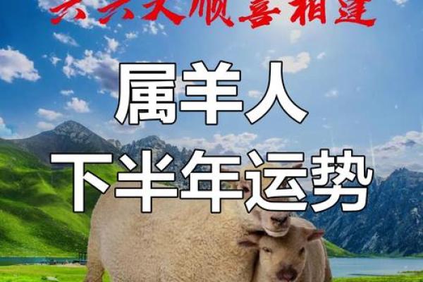1991年属羊今天财运_1991年属羊今天财运如何