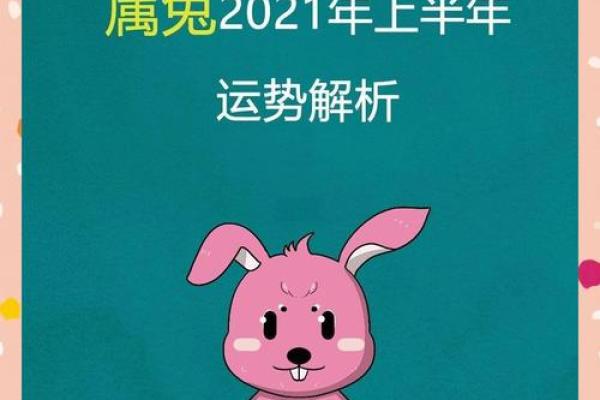 2015年属兔人全年运势解析2015年12个月每月运程指南