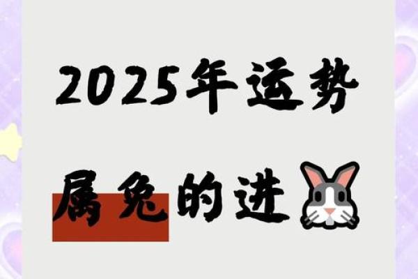 2025年1987年属兔人全年运势完整版 1987年属兔女2025年运势完整版