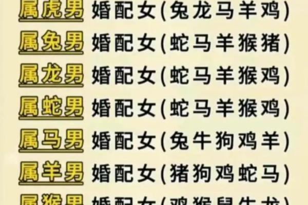 男属鸡女属兔的婚姻相配吗_鸡兔差6岁越冲越旺