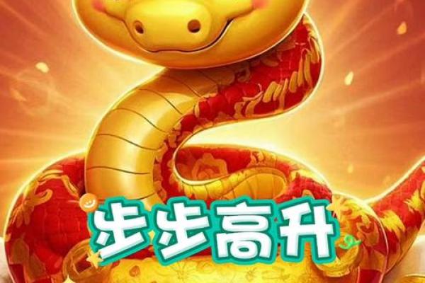 2025属蛇本命年运势 2025年十一月属蛇本命年运势解析2025年11月生肖蛇每月