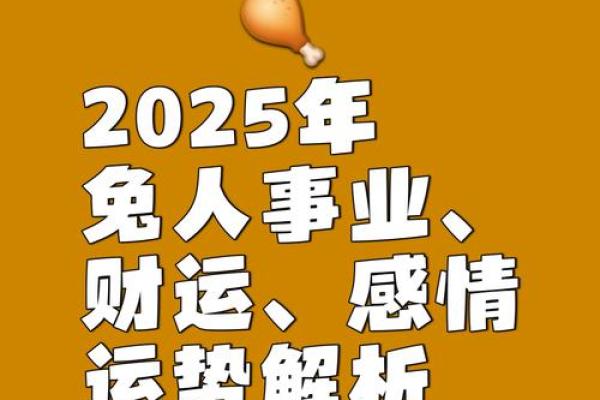 属兔2025年多大岁_2025年属兔99年运势