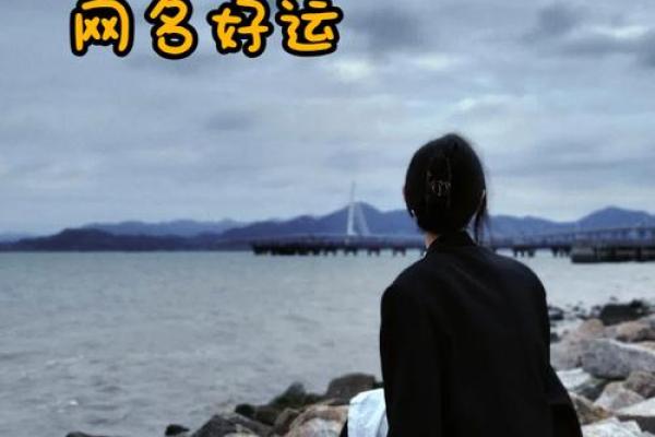 91年的羊女2025年运势如何 79年女属羊人在2025年的全年运势