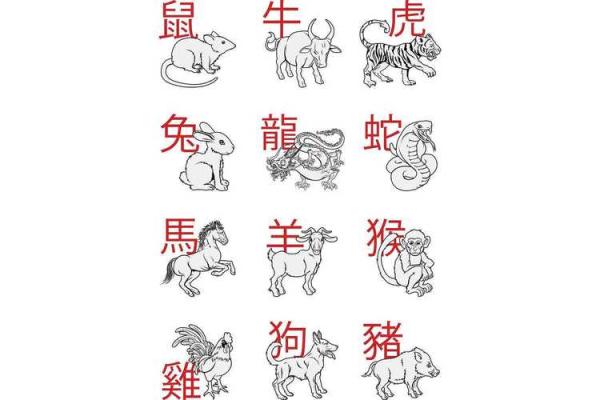 属羊2025年幸运色_86年属虎的2025年幸运色