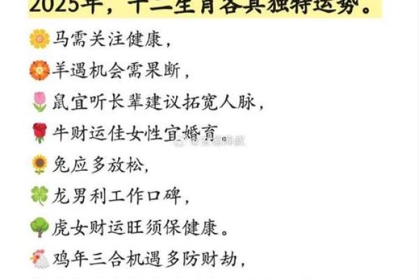 2025生肖羊1979年运势详解全年运程吉凶全解析