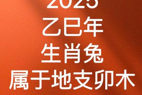 1987属兔2025年的运势及运程 87属兔2025年有三喜
