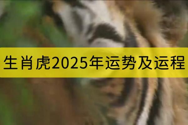 79年的羊2025年的全年运势 79年属羊人2025年运势详解蛇年运程吉凶预测与建议