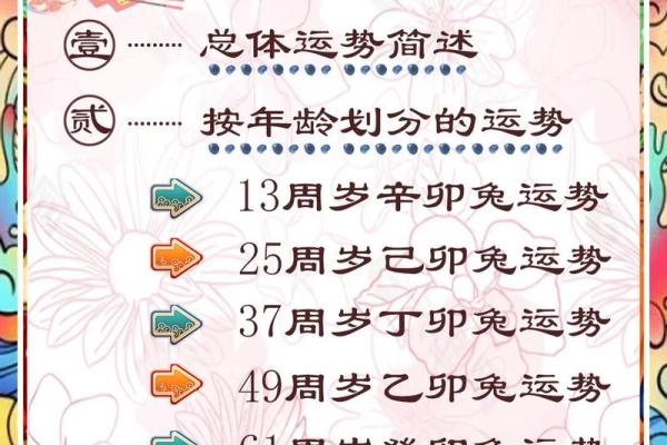 2023年的兔子是五行属什么_2023年的兔是什么命 五行属什么