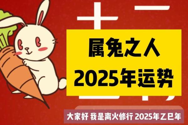 2025年属兔人全年运势详解63年出生者每月运程指南