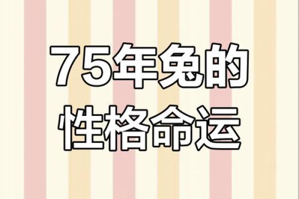1975年兔2025年运势 1975年兔2025年十一月运势解析2025年11月运程指南