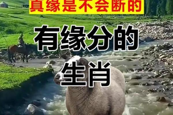 67年属羊58岁命中注定2025_67年属羊男2025年运势及运程