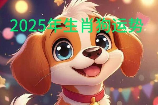 1982年属狗2025运势 1982年属狗2025运势完整版