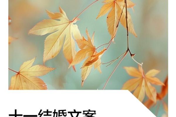 11月哪天适合结婚的日子_11月哪几天适合结婚