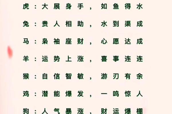 属兔一生的最大的贵人 几月兔子命最好