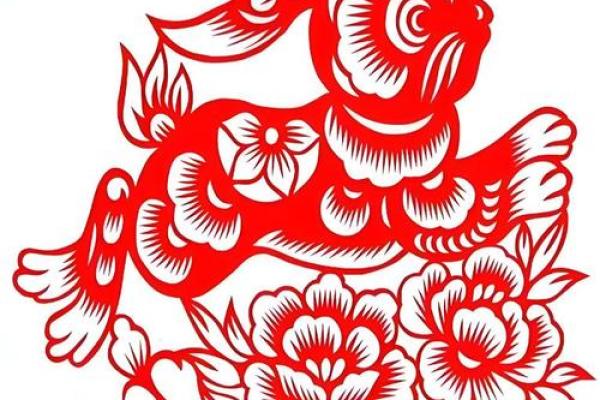 1975属兔50岁以后运气_1972年属鼠人50岁到55岁命运