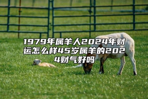 2025年属羊人的全年运势1979年出生_1979属羊46岁以后运气