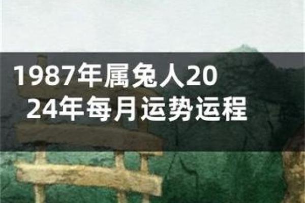 1987年的兔在2025年的运势怎么样 2025年属兔人运势解析1987年兔年出生者运程详解