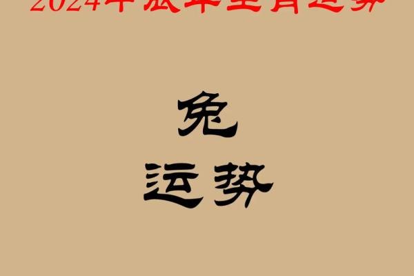 2025年属兔犯太岁吗 2025属兔的大忌