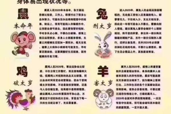 2025年属兔人全年运势解析1987年出生运程全解