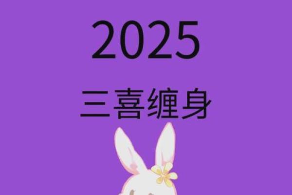 2025年十一月75年属兔运势解析2025年11月运程详解