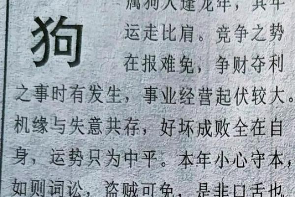 1982年属狗2024年运势及运程_2025年属狗运势及运程1994年生人