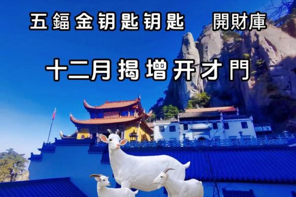 79年羊2025全年运程_25年79年的羊运势