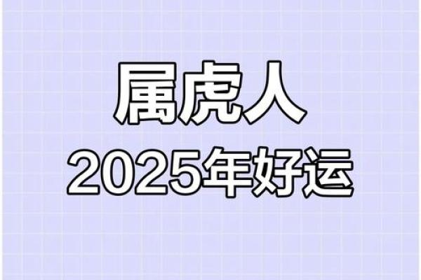2025年十一月属虎人运势与财运2025年11月运程解析