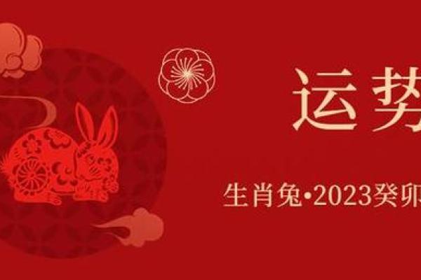 属兔今天的今日运势_2023年十月12日属兔运势解析10月12日生肖兔今日运程