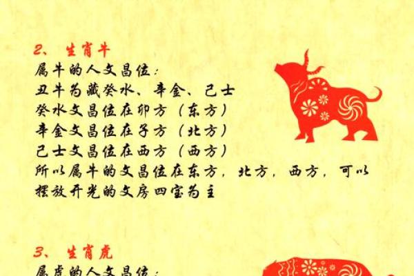 属兔人2026年全年运势运程 属兔人2026年全年运势解析十二个月运程完整指南
