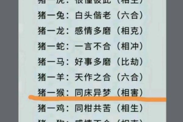 男兔与什么属相相合最好_2025年十一月男兔婚配宜配属相11月最佳生肖配对指南