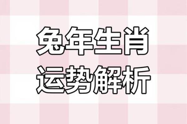 2023年十一月属兔年龄解析2023年11月属兔今年几岁