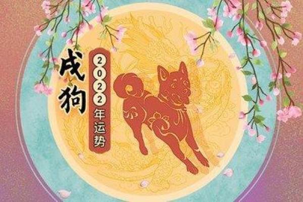1982年属狗男2024年运势解析112月每月运程详解
