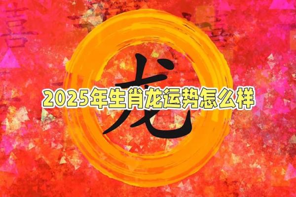 属兔子的2025年多大 属龙的在2025年多大了