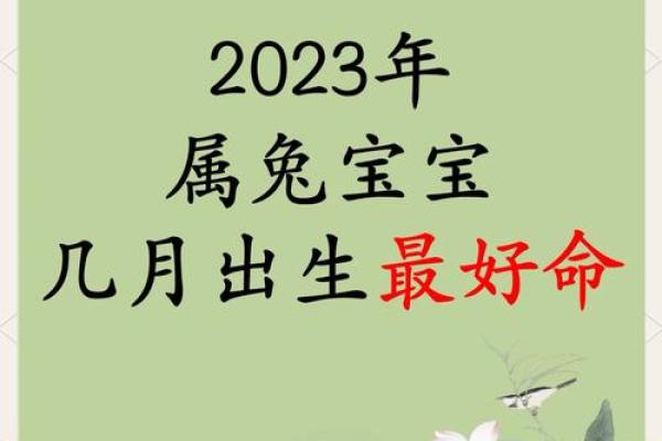 属兔的几几年出生_2023年十一月属兔出生年份查询2023年11月生肖兔年份一