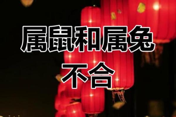 属兔的2025年有多大 属鼠的2025年几岁了啊