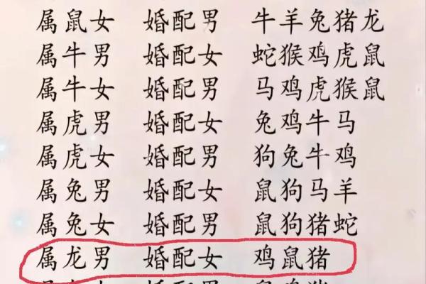 属羊与属鼠婚配好不好 属羊和属鼠婚配好吗生肖配对解析与婚配建议