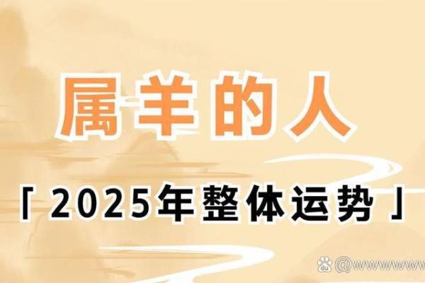 1991年属羊2025年运势详解财运事业健康全解析